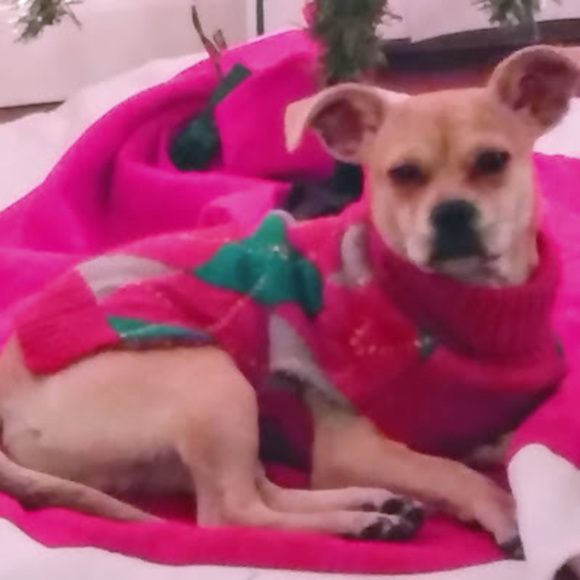 Meet your Posher, It’s_lxi - Picture 1 of 1